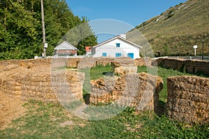 Hay in the yard