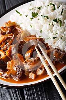 Hayashi Japanese rice with beef, onions and mushrooms close-up o