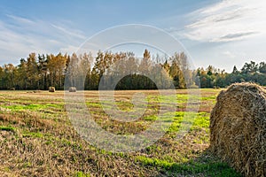 Haybale at a field with green grass and dry hrass. Autumn landscape on a sunny day