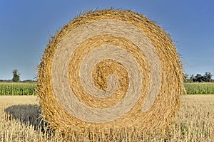 haybale in a field shooting from the front under blue sky