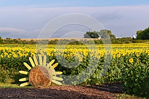 Haybale in Front of Sunflower Field