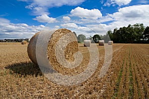 A haybale after the harvest