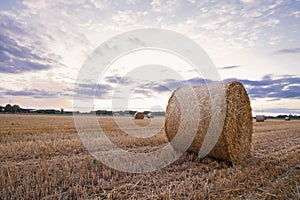 A haybale after the harvest at dusk time