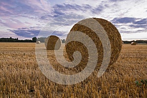 A haybale after the harvest at dusk time