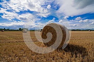 A haybale after the harvest
