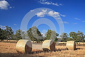 Haybales