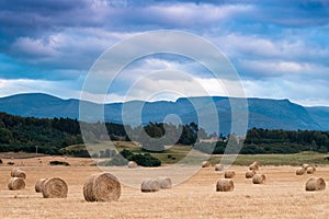 Haybales with the cairngorms in the background