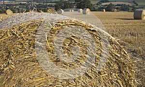 Haybales cornfield agricultural landscape