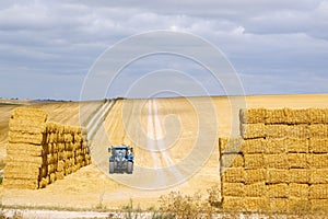 Haybales in field