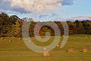 Haybales in Field photo