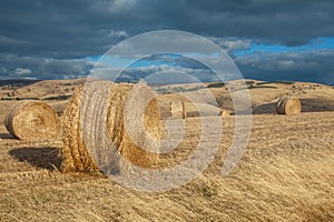 Haybales in Myponga South Australia on 13th January 2010