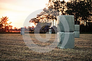 Haybales in plastic at sunset