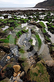 Hayburn wyke North Yorkshire coast England