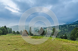 Haycock in Borsa, Maramures, Romania photo