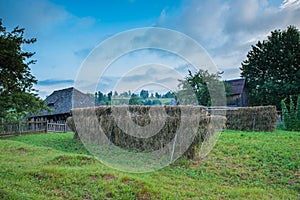 Haycock in Borsa, Maramures, Romania photo