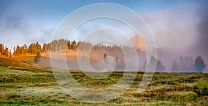 Hayden Valley, Yellowstone National Park