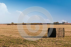 Hayfield with bales ready to be picked up and stacked