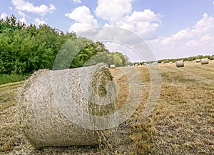 Hayfield in Garching bei MÃ¼nchen