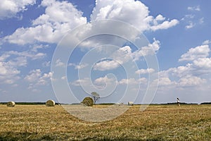 Hayfield in Garching bei MÃ¼nchen