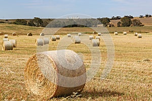 Hayfield, Hay bales drying in the field