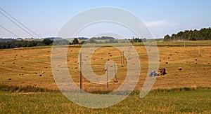 Hayfield. Hay harvesting Sunny autumn landscape. rolls of fresh dry hay in the fields. tractor collects mown grass. fields of