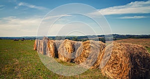 Hayfield. Hay harvesting Sunny autumn landscape. rolls of fresh dry hay in the fields. tractor collects mown grass. fields of