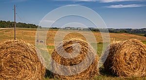 Hayfield. Hay harvesting Sunny autumn landscape. rolls of fresh dry hay in the fields. tractor collects mown grass. fields of