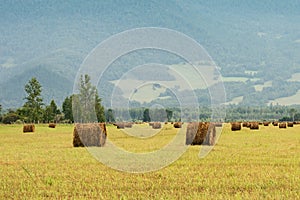 Hayfield in the mountains