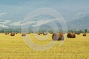 Hayfield in the mountains