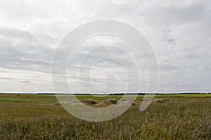 Hayfield. There are many stacks around. Meadow in the early autumn. Dry plants around. Green forest far away. Dark heaven with whi