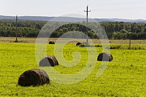 Hayfield. There are many stacks around. Meadow in the hot summer. Plants around. Green forest and mountains far away. Blue heaven