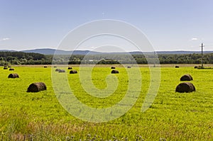 Hayfield. There are many stacks around. Meadow in the hot summer. Plants around. Green forest and mountains far away. Blue heaven