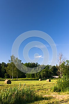 Hayfield under blue sky