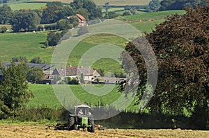 Haying Belgian farmer in meadow, Belgium