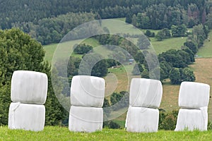 Haylage bales wrapped in white foil will provide food for farm animals during the winter. A green meadow and trees after summer