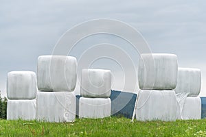 Haylage bales wrapped in white foil will provide food for farm animals during the winter. A green meadow and trees after summer