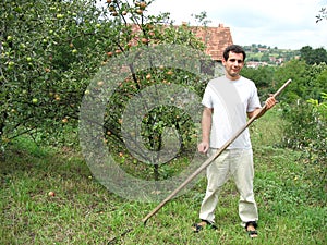 Haymaking