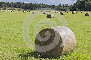 Haymaking