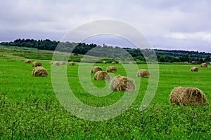 Haymaking