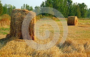 Haymaking in August