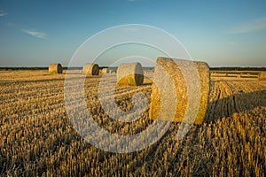 After haymaking, bales of hay on the stubble