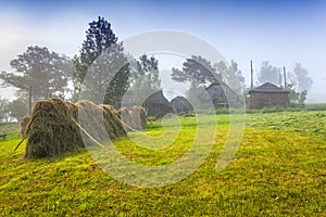 Haymaking in a Carpathian village