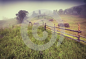 Haymaking in a Carpathian village.