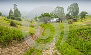 Haymaking in a Carpathian village.