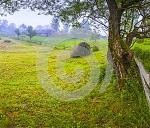 Haymaking in a Carpathian village.