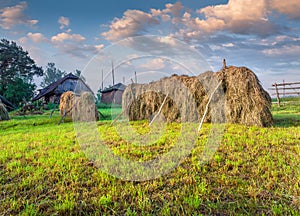 Haymaking in a Carpathian village.