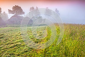 Haymaking in a Carpathian village.