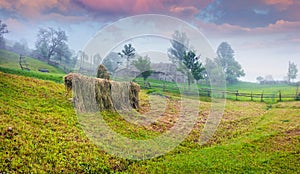 Haymaking in a Carpathian village.