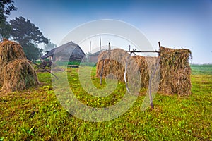 Haymaking in a Carpathian village.