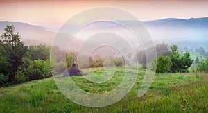 Haymaking in a Carpathian village.